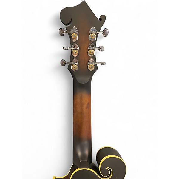 Used Gold Tone F-6  2 Color Sunburst