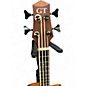Used Gold Tone Micro Bass Mahogany Acoustic Bass Guitar