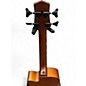 Used Gold Tone Micro Bass Mahogany Acoustic Bass Guitar