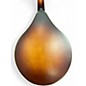 Used The Loar LM110BRB Sunburst Mandolin