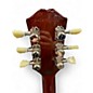 Used Epiphone les paul standard 50s bourbon burst Solid Body Electric Guitar