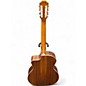 Used Taylor 214CEN Natural Classical Acoustic Electric Guitar