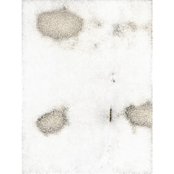 Used M-Audio Oxygen Pro 49 MIDI Controller