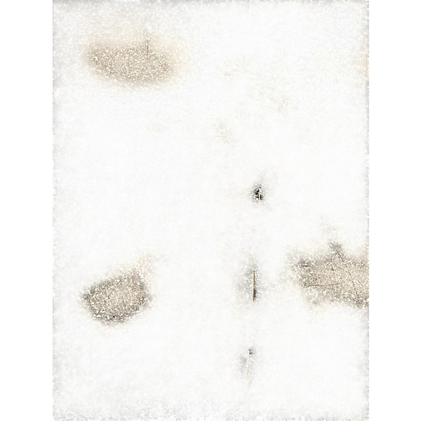 Used M-Audio Oxygen Pro 49 MIDI Controller