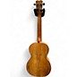 Used Cordoba 24T  Natural Ukulele