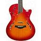 Used Taylor T5S Dark Cherry Burst Hollow Body Electric Guitar
