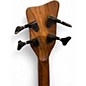 Used Warwick Thumb 4 String Bolt-On Walnut Electric Bass Guitar