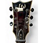 Used ESP LTD EC1000 BURL POPLAR Solid Body Electric Guitar