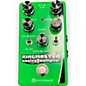 Used Pigtronix RINGMASTER Effect Pedal