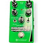 Used Pigtronix RINGMASTER Effect Pedal