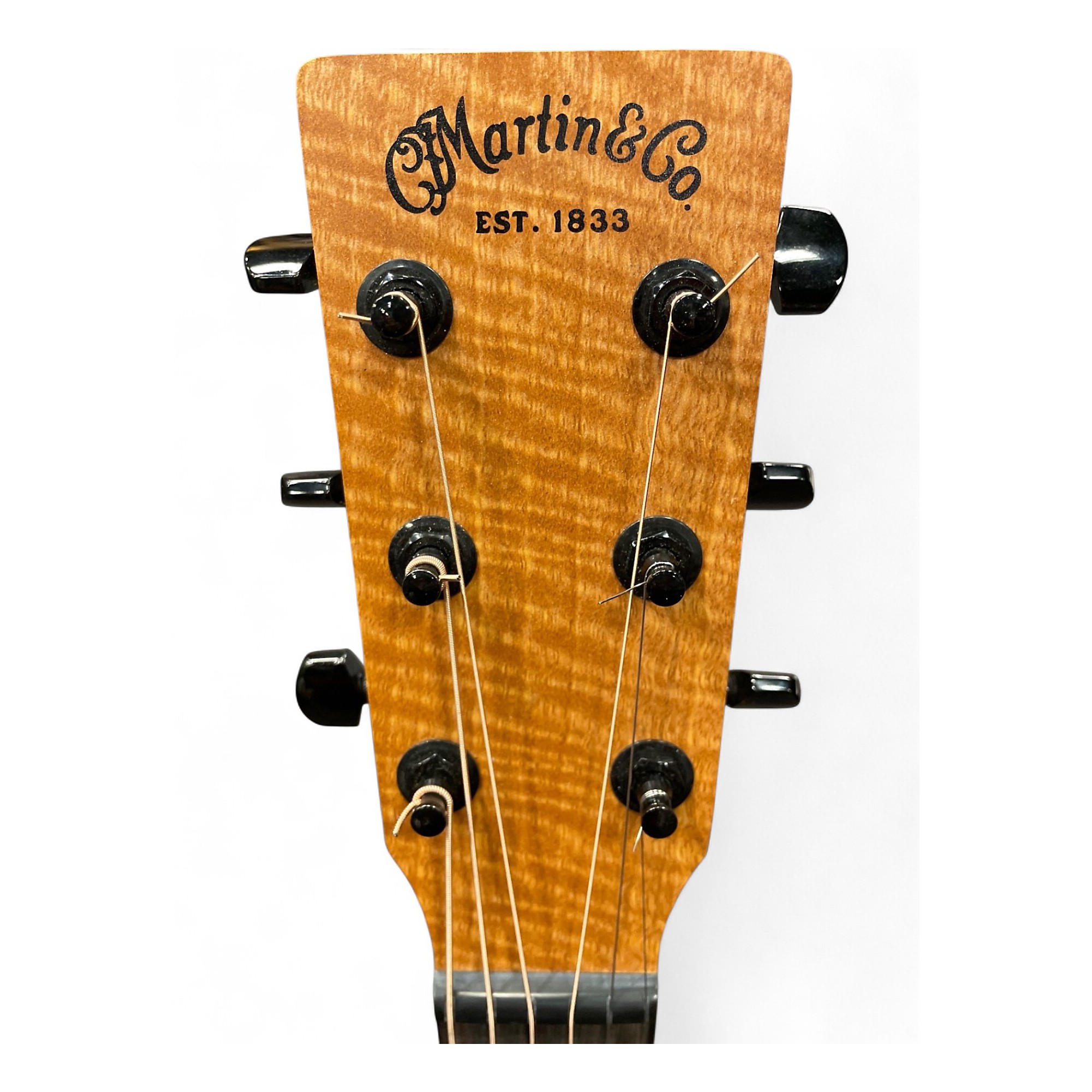 Martin & Co. XC1T ellipse カッタウェイ Martin & Co. XC1T ellipse カッタウェイ Martin & Co. XC1T