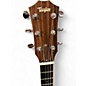 Used Taylor GC4 SPRUCE Acoustic Guitar