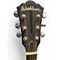 Used Washburn B6 Banjo Natural Banjo