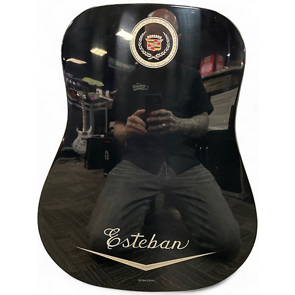 Used Esteban Eldorado Black and White Acoustic Electric Guitar