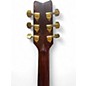 Used Washburn D21S/N Natural Acoustic Electric Guitar