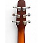 Used Seagull entourage  autumm burst Acoustic Guitar