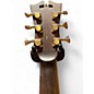 Used D'Angelico FXCEL TAMMANY Natural Acoustic Electric Guitar