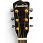 Used Breedlove Organic Artista Pro CE Burnt Amber Acoustic Electric Guitar