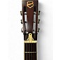 Used National Resophonic DELPHI TAUPE Resonator Guitar