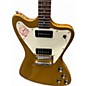 Used Eastwood STORMBIRD Gold Solid Body Electric Guitar