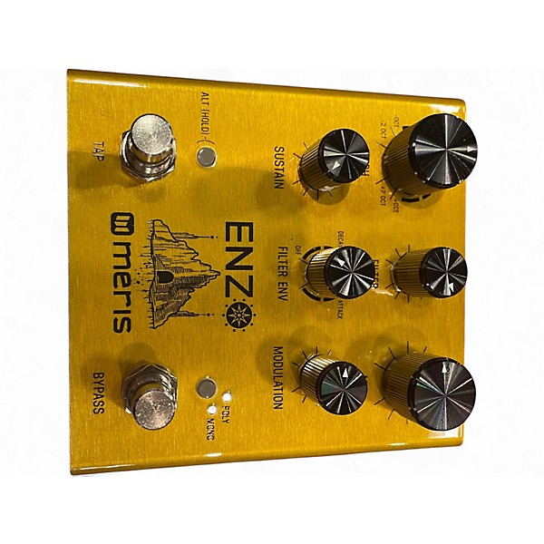 Used Meris ENZO Effect Pedal