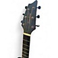 Used Breedlove RAINFOREST S CONCERT PA CE BLACK FERN Acoustic Electric Guitar