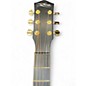 Used McPherson CARBON SERIES Black Acoustic Electric Guitar