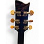 Used Ibanez EUPHORIA STEVE VAI SIGNATURE Black Acoustic Electric Guitar