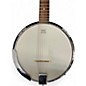 Used Johnson banjitar Natural Banjo