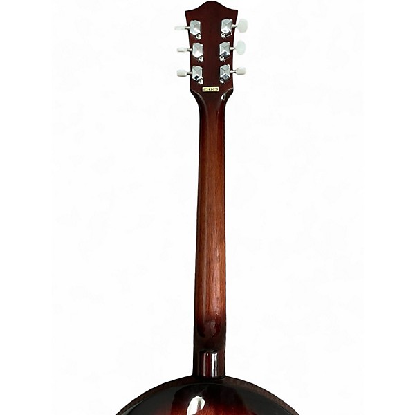 Used Johnson banjitar Natural Banjo