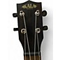 Used Kala KA-EBY-C STRIPED EBONY Ukulele