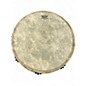 Used Remo Signature Paulo Mattiloli Djembe