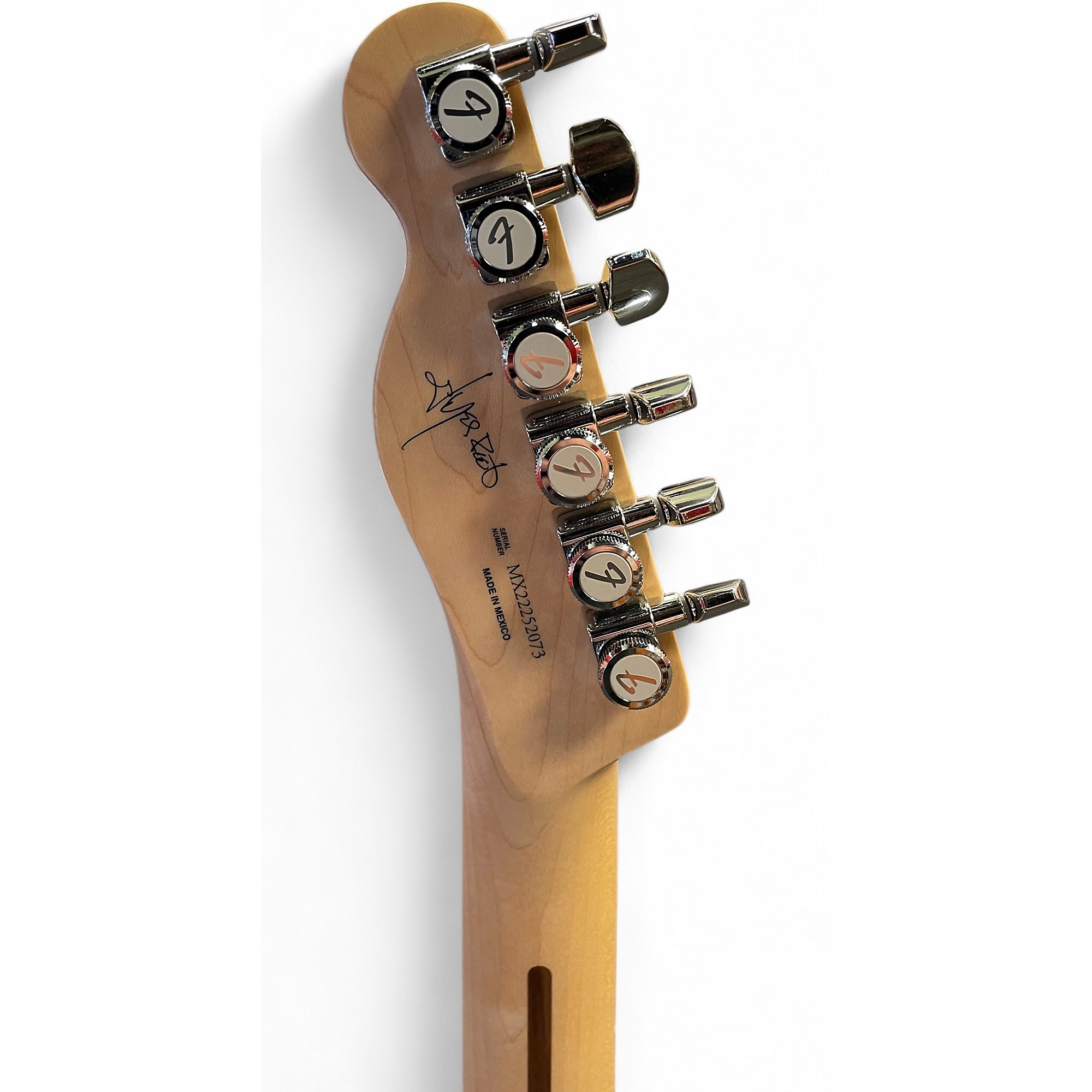ギター Fender Mexico Telecaster Jim Root Fender Jim Root Artist Series Telecaster Electric Guitar