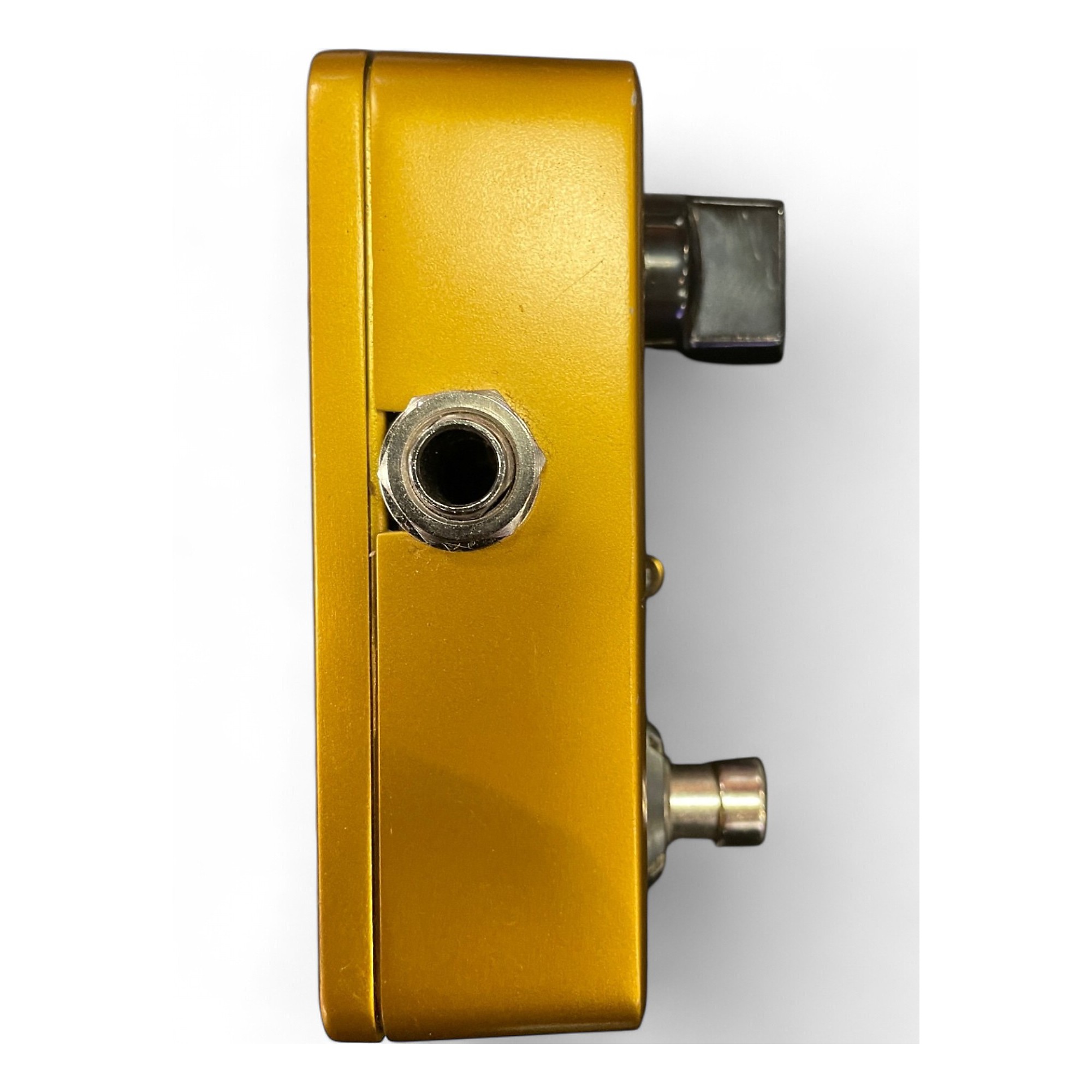 ギター DITTO LOOPER GOLD TC Electronic | Product | DITTO LOOPER GOLD