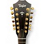 Used Taylor 652 CE BUILDERS EDITION WILD HONEY BURST 12 String Acoustic Electric Guitar