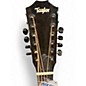 Used Taylor 250CE Black 12 String Acoustic Guitar