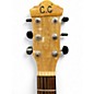 Used Ibanez AEW40 ASH BURL Acoustic Electric Guitar