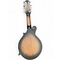 Used Gold Tone F12 2 Tone Sunburst Mandolin
