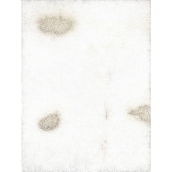 Used Tech 21 VT BASS DELUXE Bass Effect Pedal