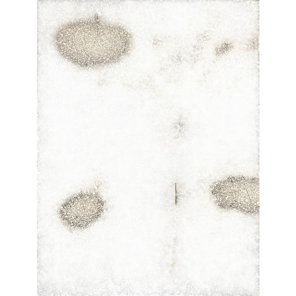 Used Tech 21 VT BASS DELUXE Bass Effect Pedal