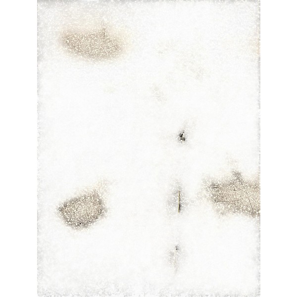 Used Tech 21 VT BASS DELUXE Bass Effect Pedal