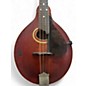 Vintage 1915 Gibson A4 Brown Mandolin