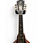Vintage 1915 Gibson A4 Brown Mandolin