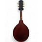 Vintage 1915 Gibson A4 Brown Mandolin