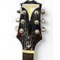 Used Epiphone Wildkat with Bigsby Natural Hollow Body Electric Guitar