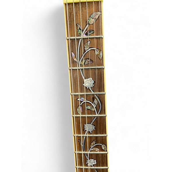 Used Jay Turser JT134 Trans Black Hollow Body Electric Guitar