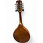Used Goya GM 23 Natural Mandolin