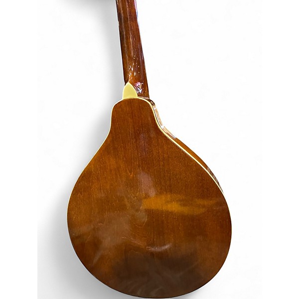 Used Goya GM 23 Natural Mandolin