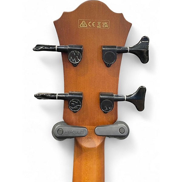 Used Ibanez AEGB24E-MHS Mahogany Acoustic Bass Guitar