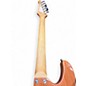 Used Sawtooth Natural Series Flamed Maple Trans Moss Burst Solid Body Electric Guitar